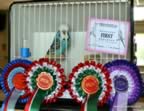 DSC_4856 (Small).JPG (112kb)